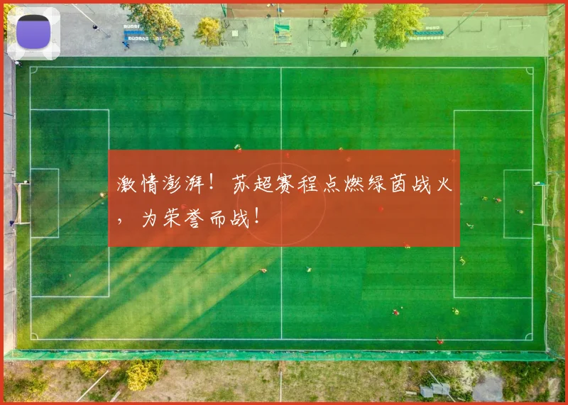 激情澎湃！苏超赛程点燃绿茵战火，为荣誉而战！